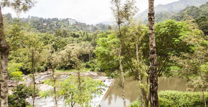 Rivulet Resort Munnar Exterior foto